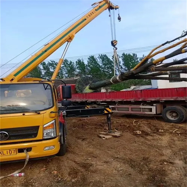 宋洛乡100吨吊车租赁费用怎么算？3大关键因素+省钱技巧全解析